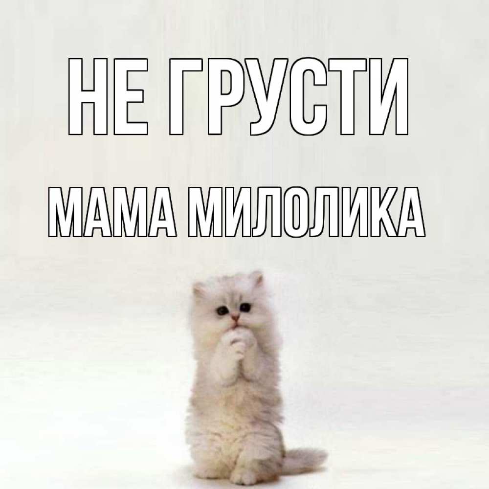 Открытка на каждый день с именем, Мама-Милолика Не грусти грустный кот Прикольная открытка с пожеланием онлайн скачать бесплатно 