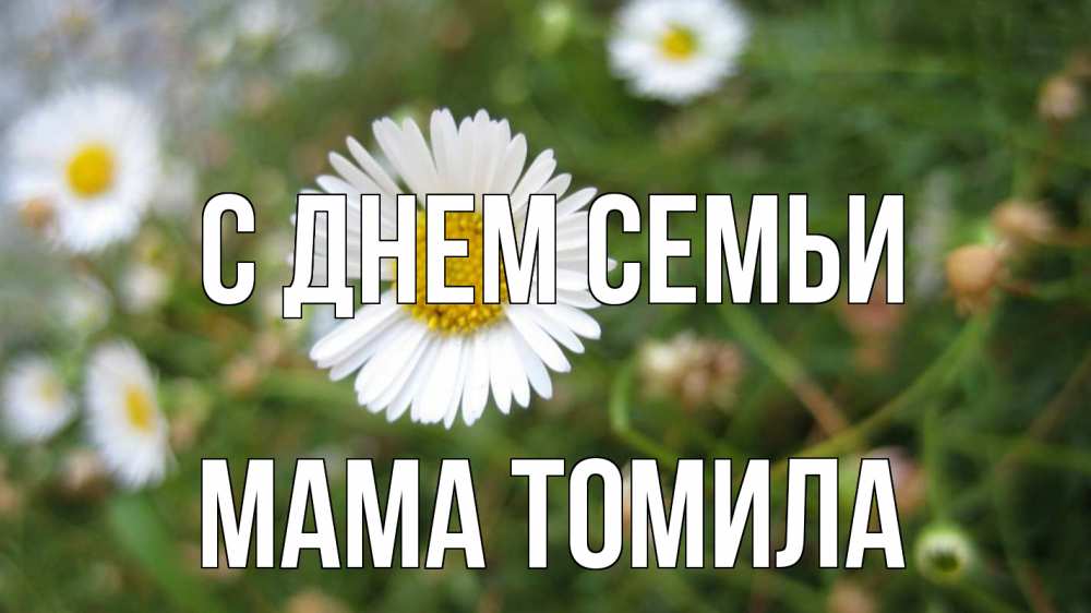 Открытка на каждый день с именем, Мама-Томила С днем семьи с днем семьи Прикольная открытка с пожеланием онлайн скачать бесплатно 