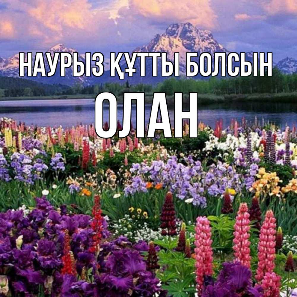 Открытка на каждый день с именем, Олан Наурыз құтты болсын наурыз Прикольная открытка с пожеланием онлайн скачать бесплатно 