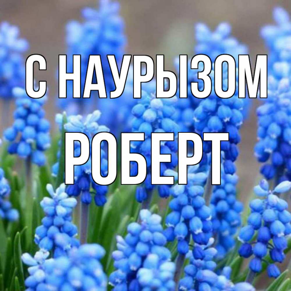 Открытка на каждый день с именем, Роберт С наурызом Поздравительная открытка для женщин с цветами на праздничную дату Прикольная открытка с пожеланием онлайн скачать бесплатно 