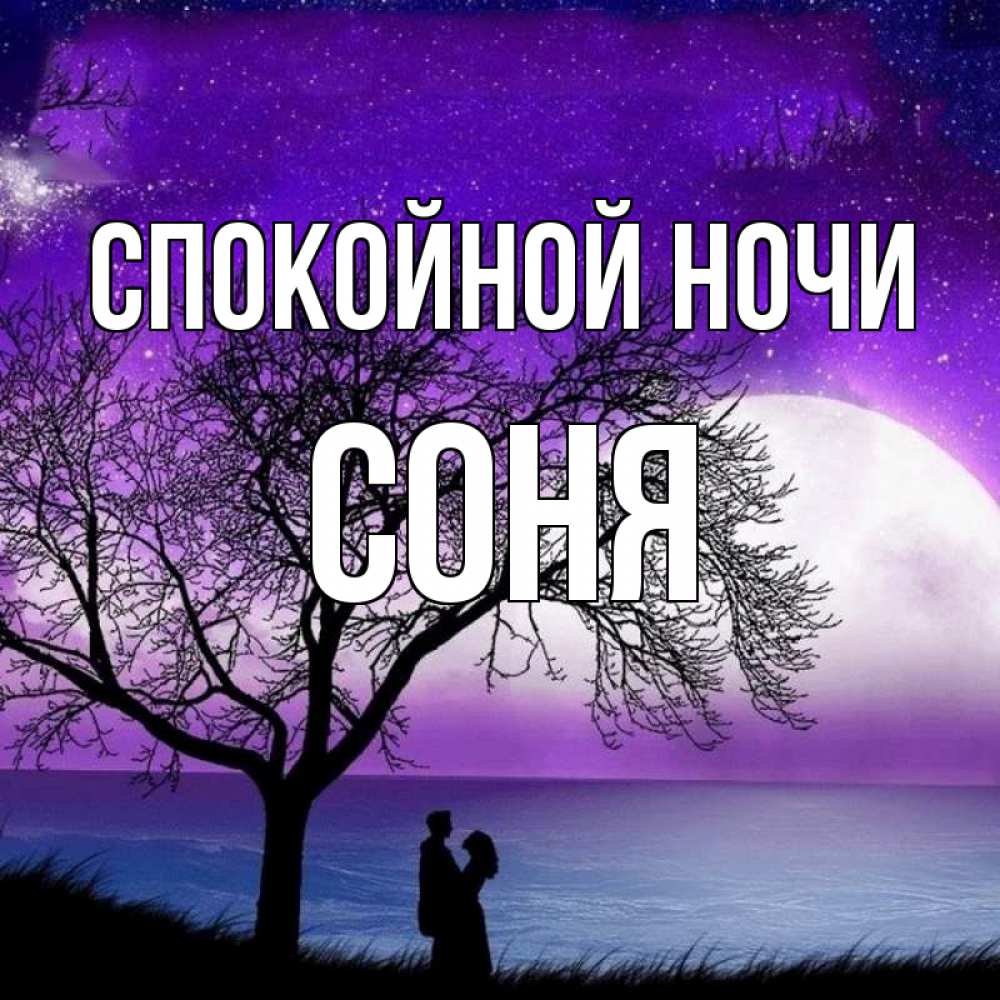 Открытка на каждый день с именем, Соня Спокойной ночи огромная луна и парочка Прикольная открытка с пожеланием онлайн скачать бесплатно 