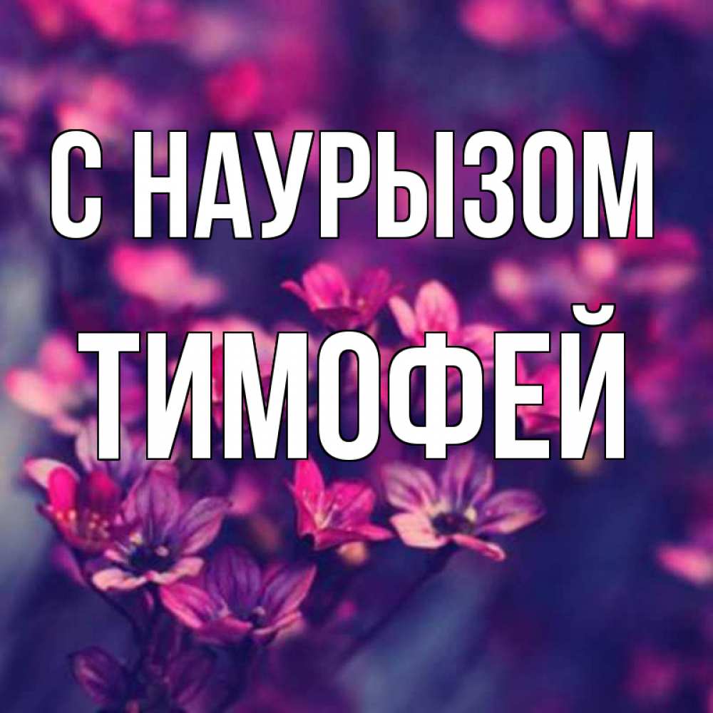 Открытка на каждый день с именем, Тимофей С наурызом небольшие цветы 1 Прикольная открытка с пожеланием онлайн скачать бесплатно 
