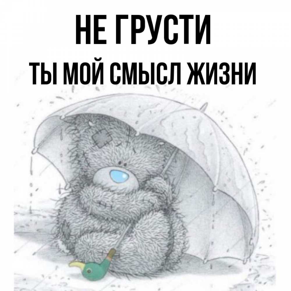 Открытка на каждый день с именем, Ты-мой-смысл-жизни Не грусти спасите мишку Тедди Прикольная открытка с пожеланием онлайн скачать бесплатно 