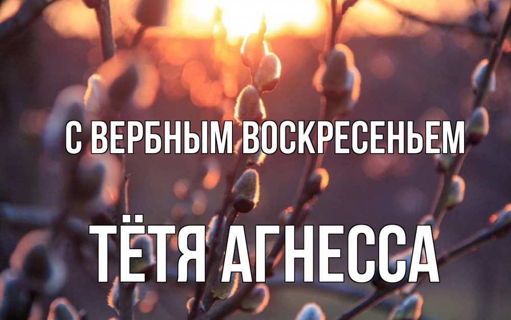 Открытка на каждый день с именем, Тётя-Агнесса С вербным воскресеньем верба Прикольная открытка с пожеланием онлайн скачать бесплатно 