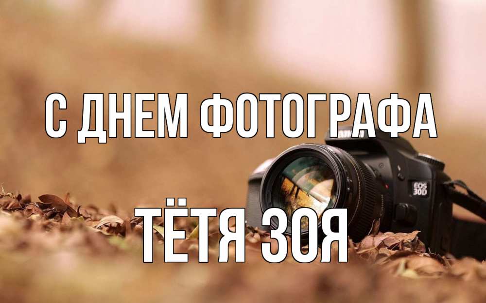 Открытка на каждый день с именем, Тётя-Зоя С днем фотографа с днем фотографа Прикольная открытка с пожеланием онлайн скачать бесплатно 