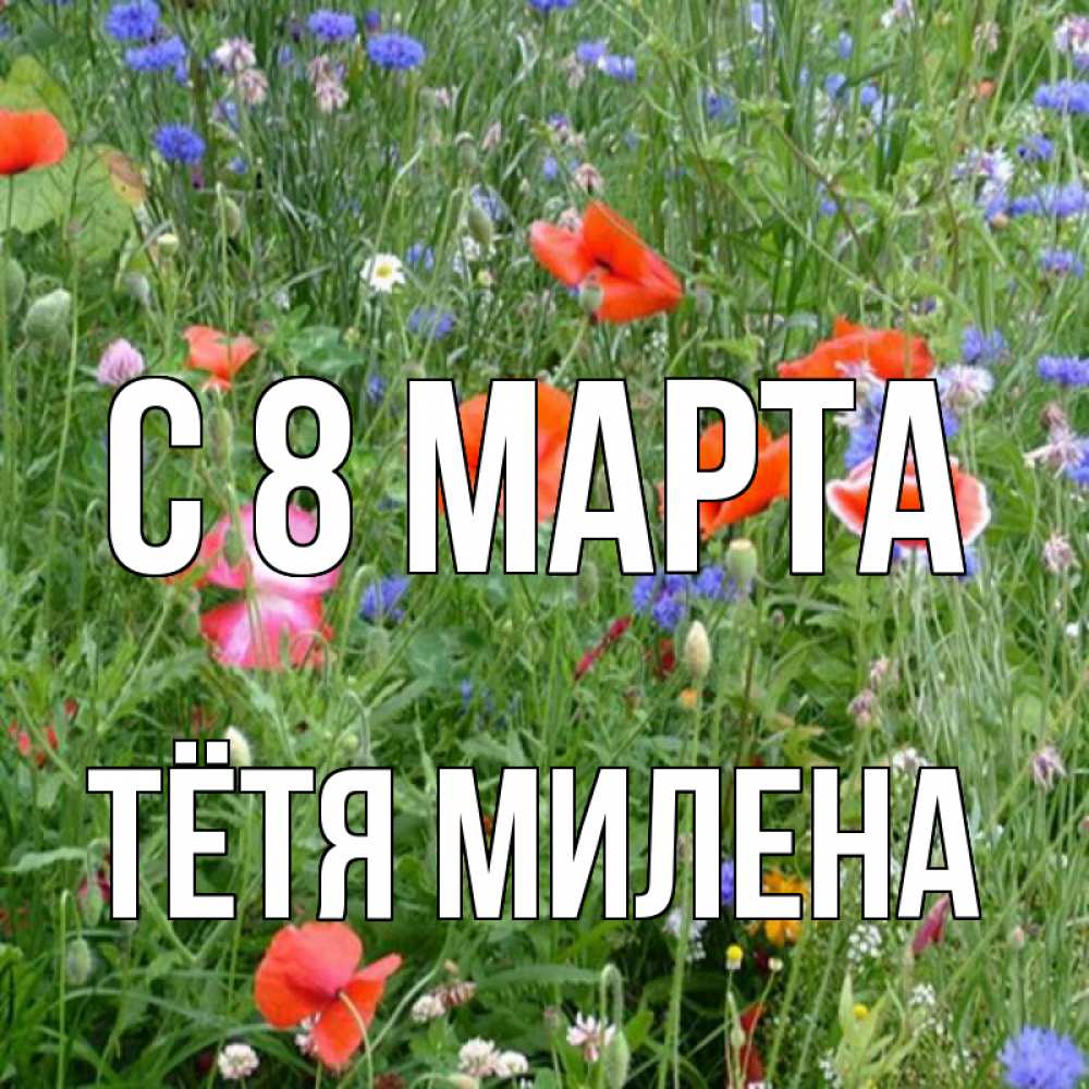 Открытка на каждый день с именем, Тётя-Милена С 8 МАРТА международный женский день 4 Прикольная открытка с пожеланием онлайн скачать бесплатно 