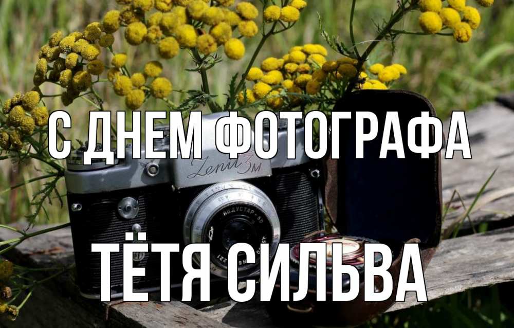 Открытка на каждый день с именем, Тётя-Сильва С днем фотографа с днем фотографа Прикольная открытка с пожеланием онлайн скачать бесплатно 