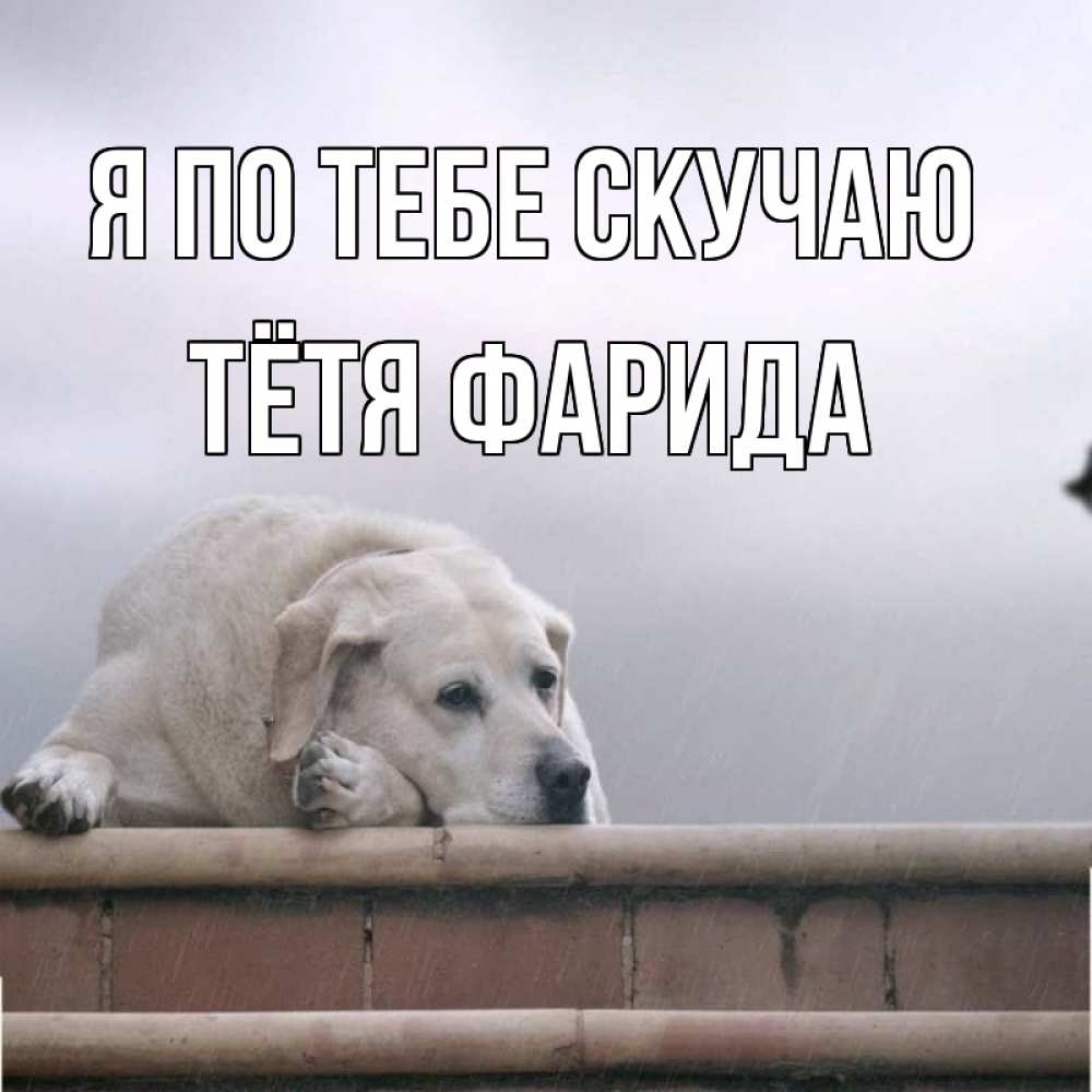 Открытка на каждый день с именем, Тётя-Фарида Я по тебе скучаю ждет Прикольная открытка с пожеланием онлайн скачать бесплатно 