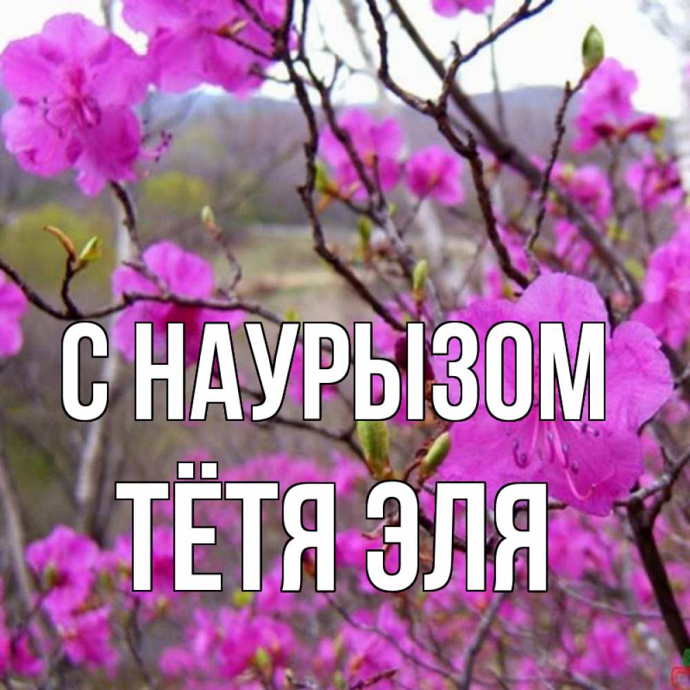 Открытка на каждый день с именем, Тётя-Эля С наурызом праздник весны наурыз Прикольная открытка с пожеланием онлайн скачать бесплатно 