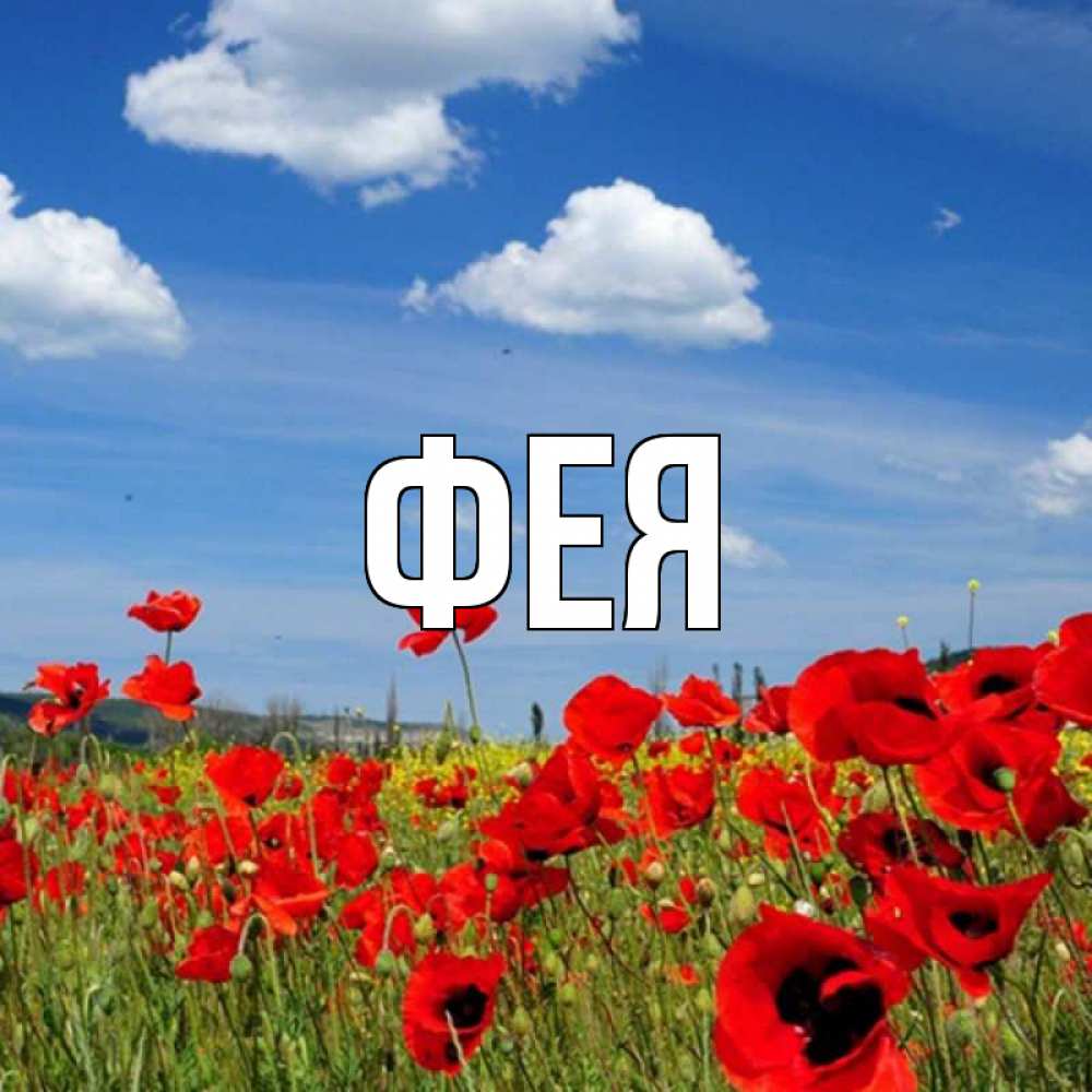 Открытка на каждый день с именем, Фея Главная международный женский день 1 Прикольная открытка с пожеланием онлайн скачать бесплатно 