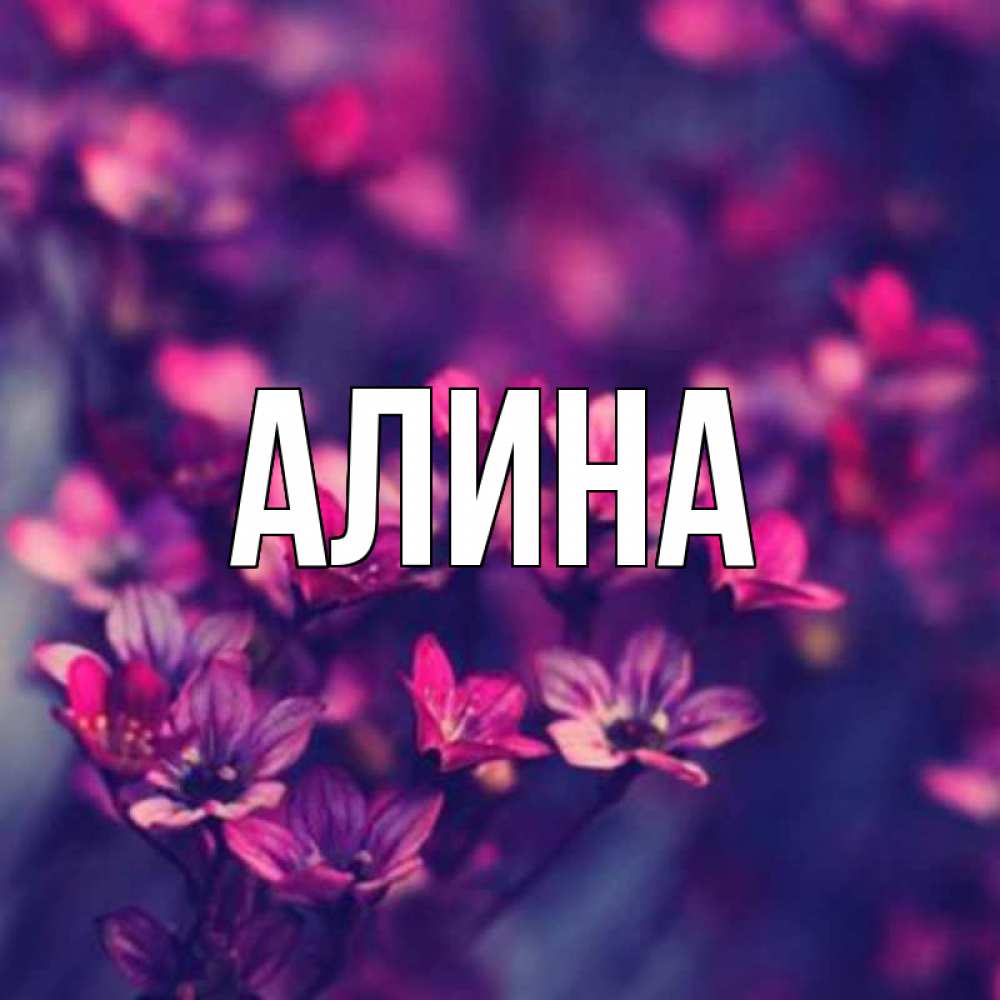 Рисунок с именем алина