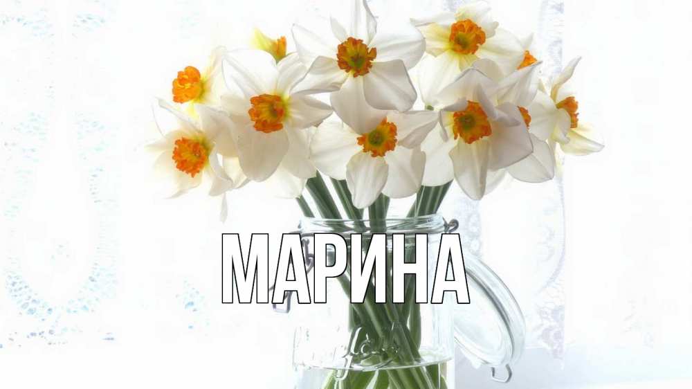 Открытка на каждый день с именем, Марина Главная с днем бухгалтера Прикольная открытка с пожеланием онлайн скачать бесплатно 