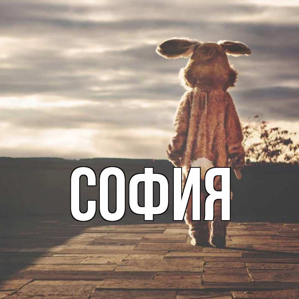 Открытка на каждый день с именем, София Главная даже в костюме зайца Прикольная открытка с пожеланием онлайн скачать бесплатно 