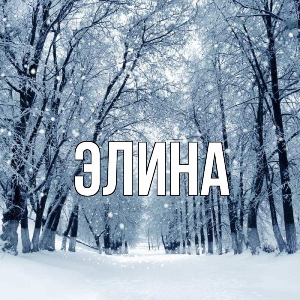 Открытка на каждый день с именем, Элина Главная снег, лес, парк Прикольная открытка с пожеланием онлайн скачать бесплатно 