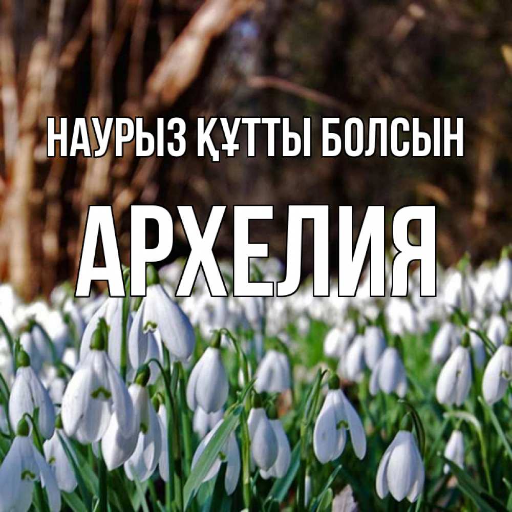 Открытка на каждый день с именем, Архелия Наурыз құтты болсын с подснежниками 1 Прикольная открытка с пожеланием онлайн скачать бесплатно 