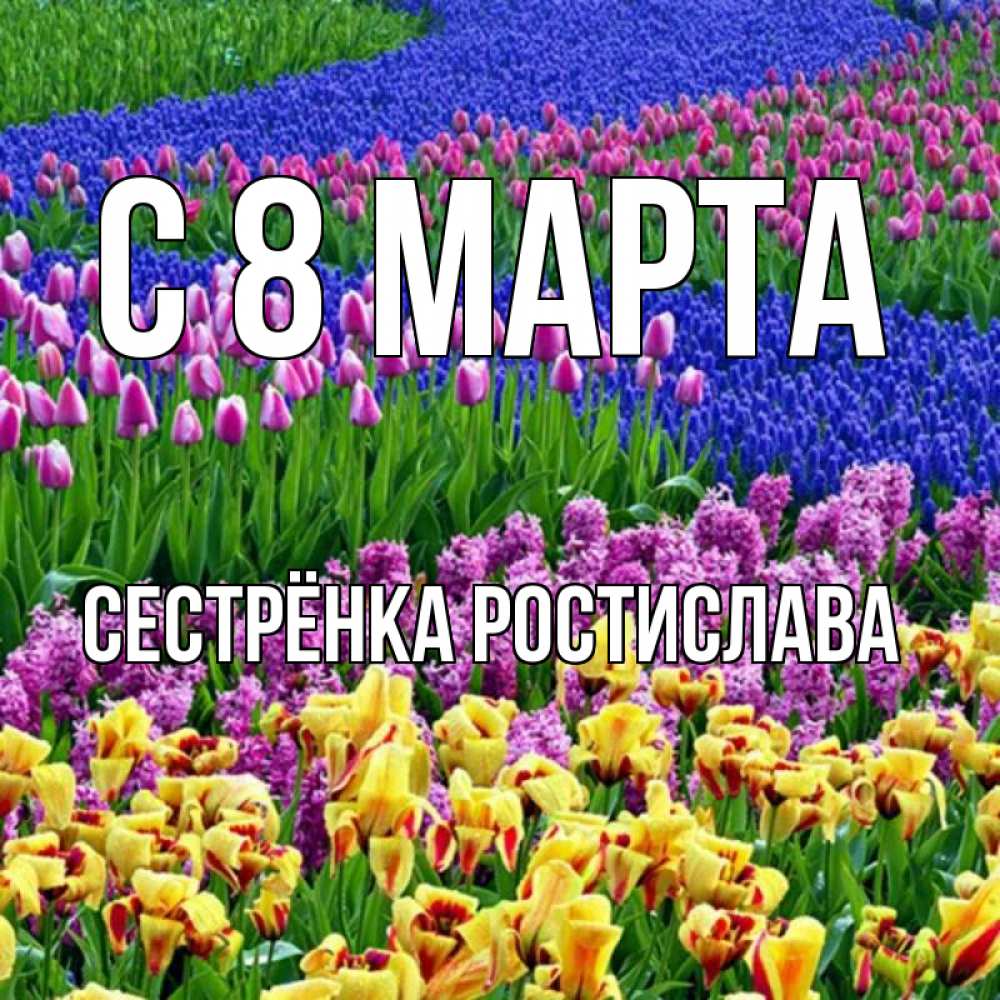 Открытка на каждый день с именем, Сестрёнка-Ростислава С 8 МАРТА цветы Прикольная открытка с пожеланием онлайн скачать бесплатно 