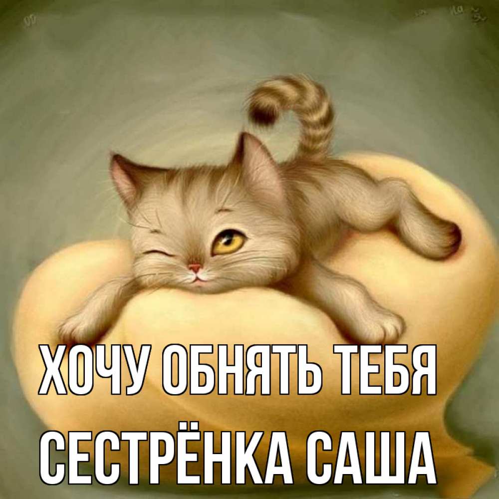 Открытка на каждый день с именем, Сестрёнка-Саша Хочу обнять тебя кошечка Прикольная открытка с пожеланием онлайн скачать бесплатно 