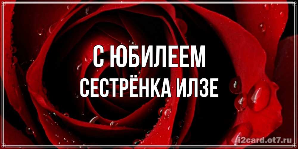 Открытка на каждый день с именем, Сестрёнка-Илзе С юбилеем крупная бордовая роза Прикольная открытка с пожеланием онлайн скачать бесплатно 