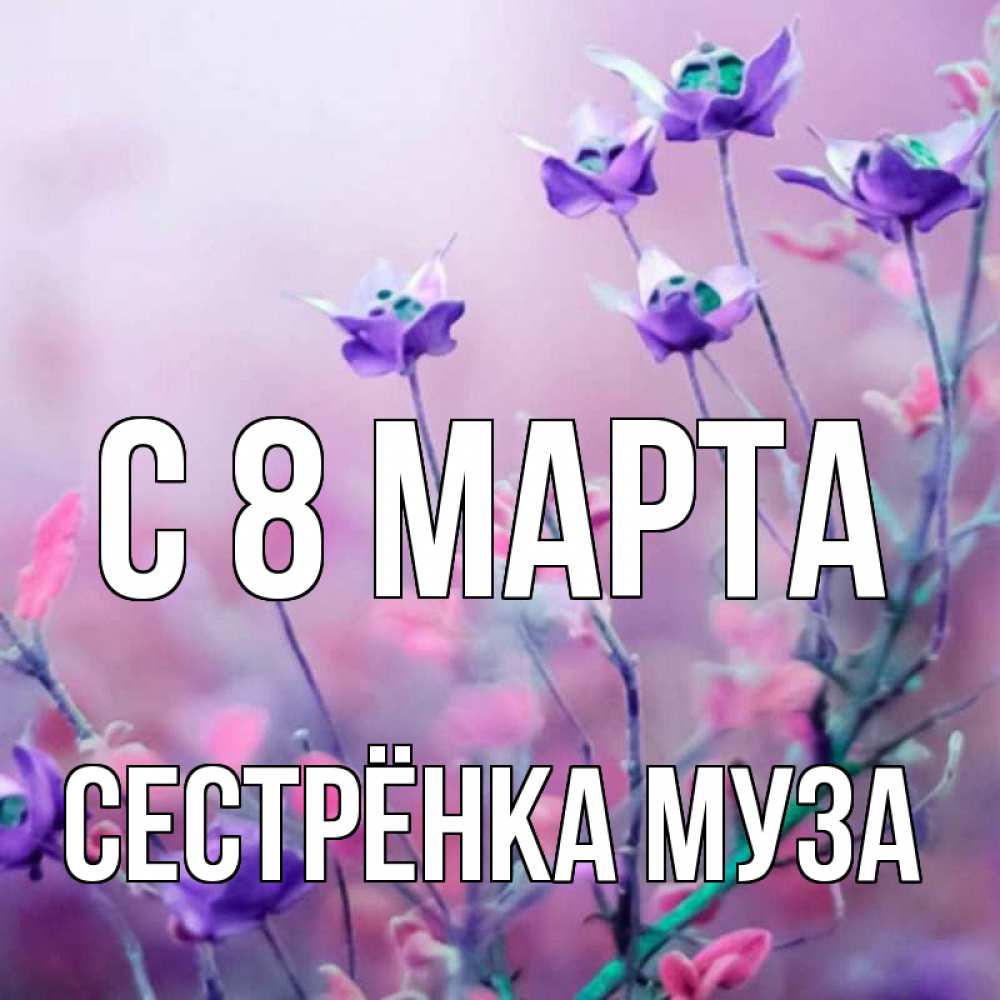 Открытка на каждый день с именем, Сестрёнка-Муза С 8 марта международный женский день 2 Прикольная открытка с пожеланием онлайн скачать бесплатно 