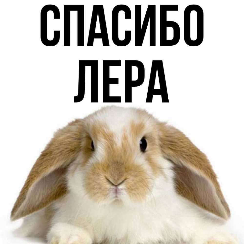 Спасибо лерочка картинка