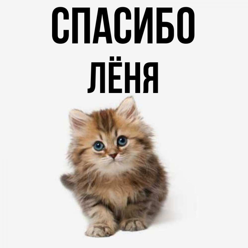 Доброе утро леня картинки