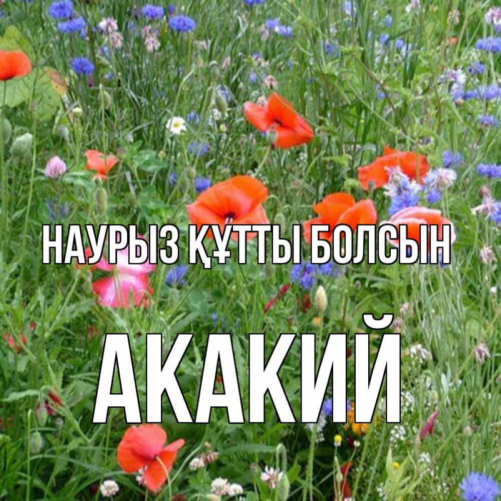 Открытка на каждый день с именем, Акакий Наурыз құтты болсын наурыз  4 Прикольная открытка с пожеланием онлайн скачать бесплатно 