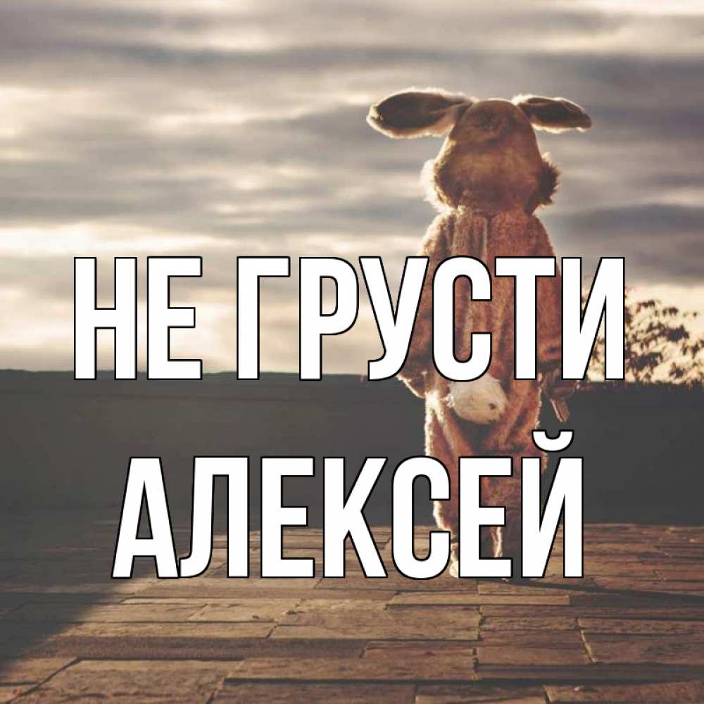 Открытка на каждый день с именем, Алексей Не грусти со спины Прикольная открытка с пожеланием онлайн скачать бесплатно 