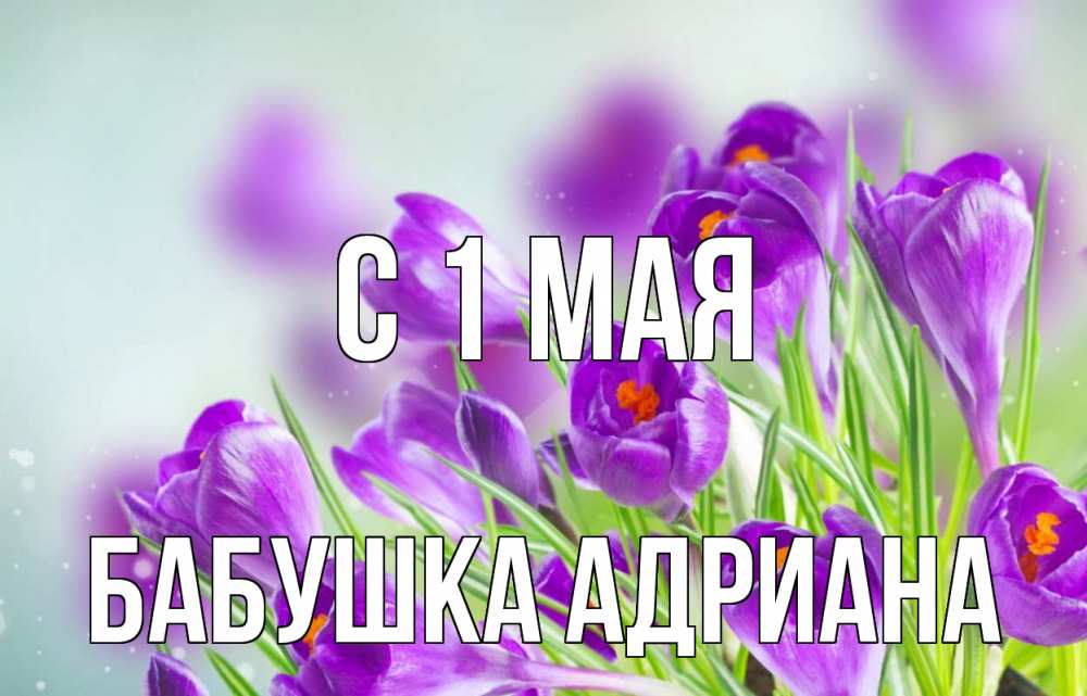 Открытка на каждый день с именем, Бабушка-Адриана С 1 мая 1 мая Прикольная открытка с пожеланием онлайн скачать бесплатно 
