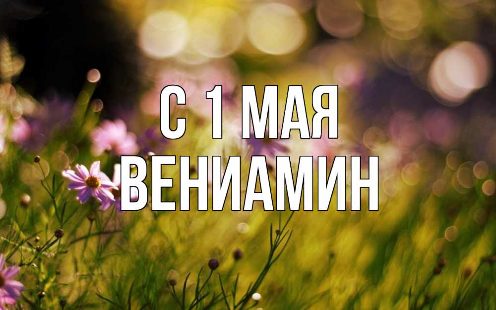 Открытка на каждый день с именем, Вениамин С 1 мая С 1 мая Прикольная открытка с пожеланием онлайн скачать бесплатно 