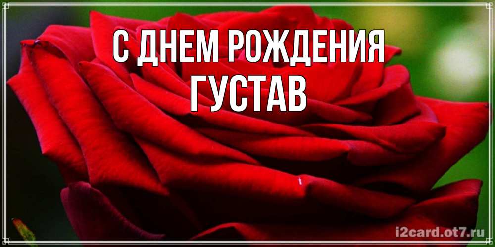 Открытка на каждый день с именем, Густав С днем рождения розочка очень красивая Прикольная открытка с пожеланием онлайн скачать бесплатно 
