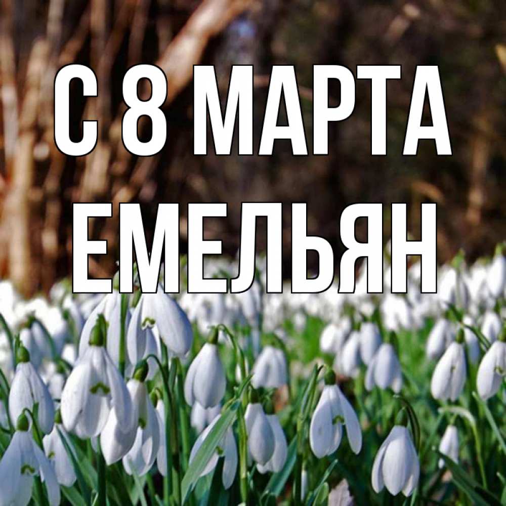 Открытка на каждый день с именем, Емельян С 8 марта с подснежниками 1 Прикольная открытка с пожеланием онлайн скачать бесплатно 