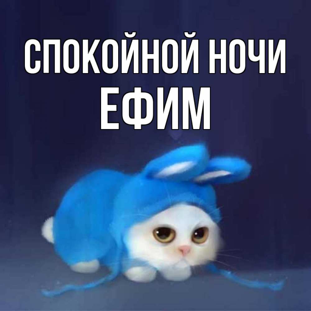 Открытка на каждый день с именем, Ефим Спокойной ночи кот в голубом костюме кролика с ушками Прикольная открытка с пожеланием онлайн скачать бесплатно 
