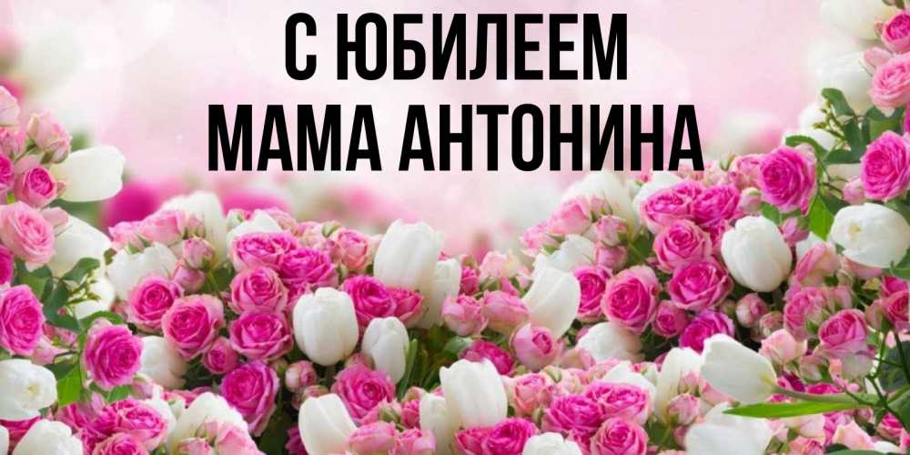 Открытка на каждый день с именем, Мама-Антонина С юбилеем открытка с разными розами Прикольная открытка с пожеланием онлайн скачать бесплатно 