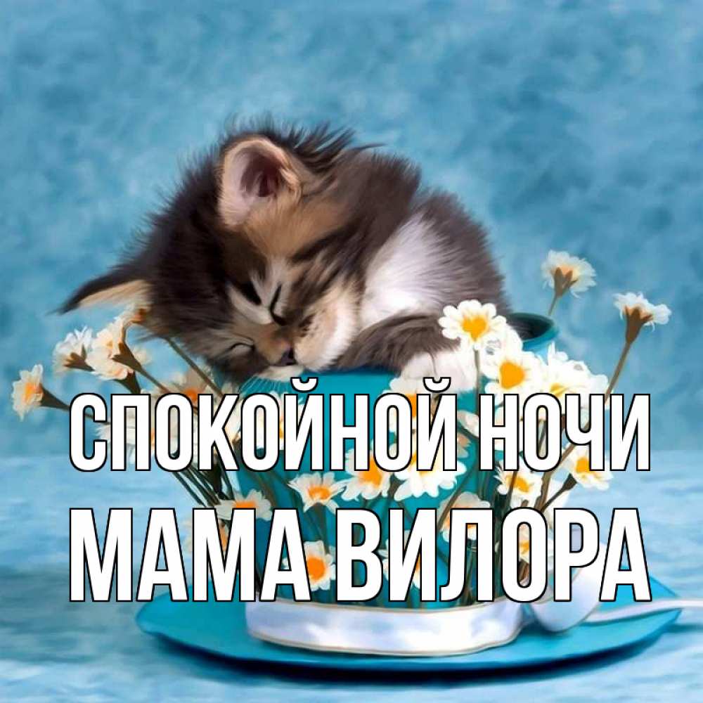 Открытка на каждый день с именем, Мама-Вилора Спокойной ночи котенок спит в кружке с блюдцем Прикольная открытка с пожеланием онлайн скачать бесплатно 