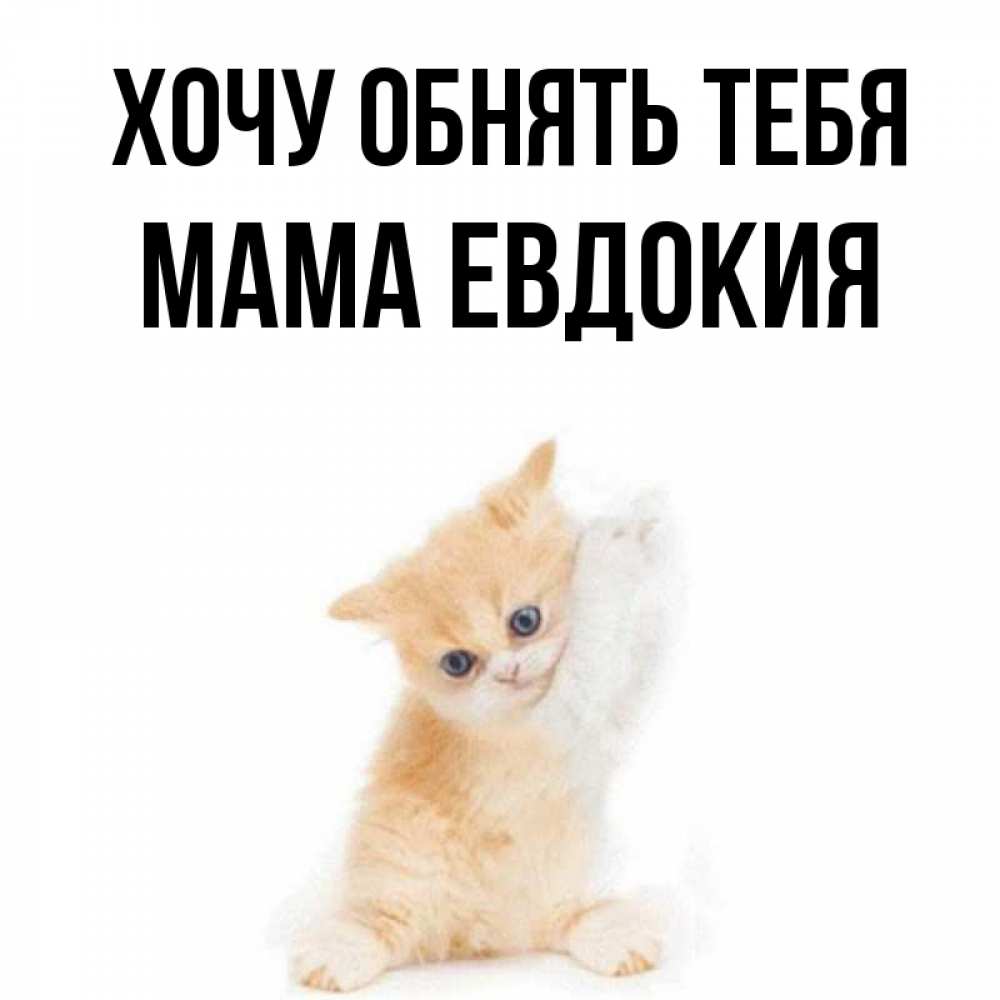 Открытка на каждый день с именем, Мама-Евдокия Хочу обнять тебя я хочу очень скорее обнимаешек Прикольная открытка с пожеланием онлайн скачать бесплатно 