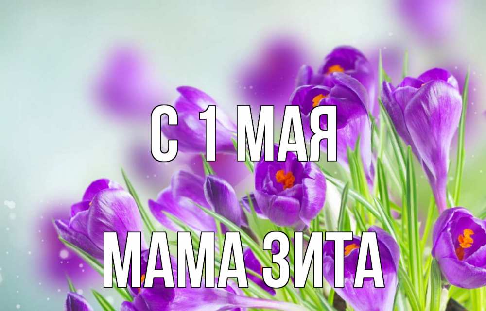 Открытка на каждый день с именем, Мама-Зита С 1 мая 1 мая Прикольная открытка с пожеланием онлайн скачать бесплатно 