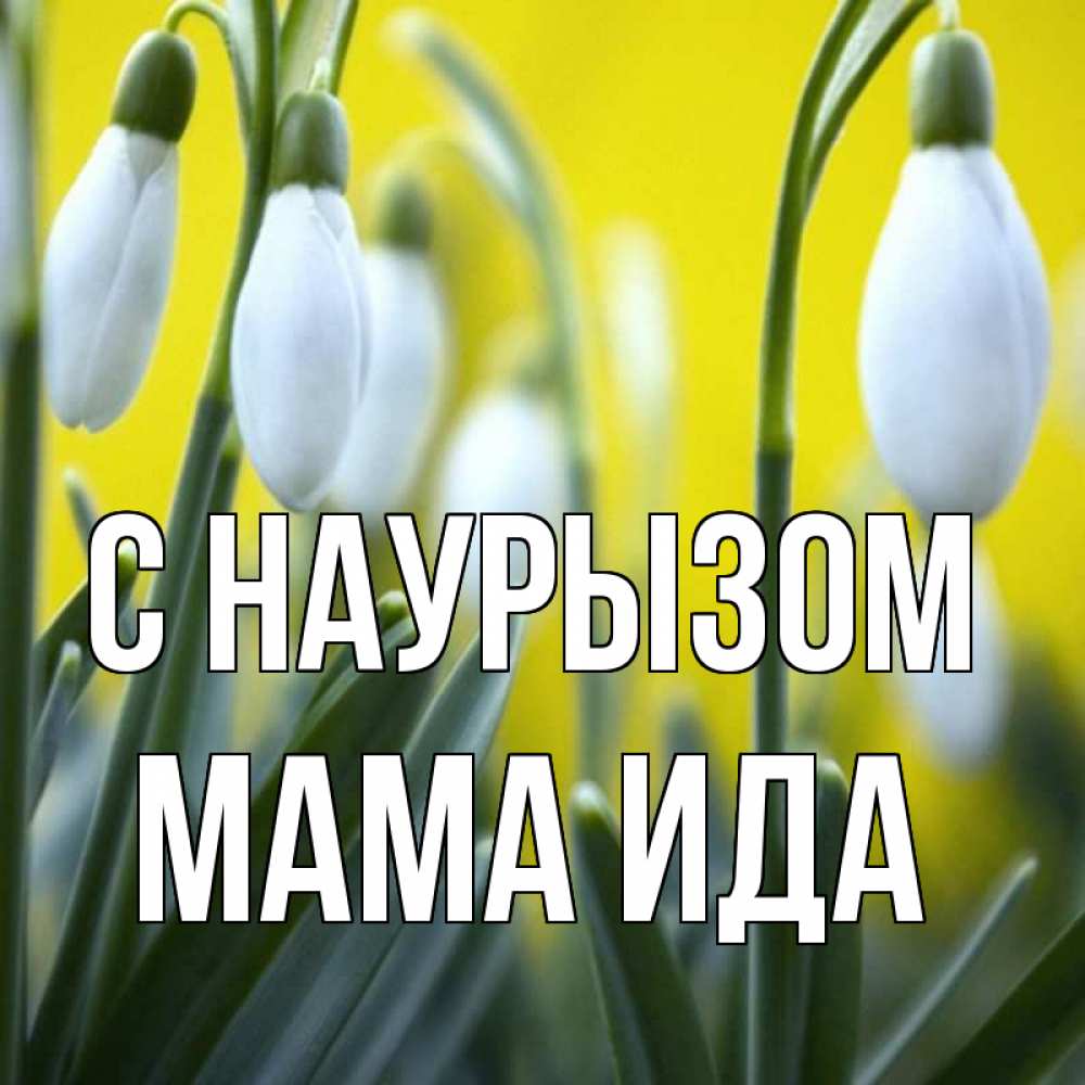 Открытка на каждый день с именем, Мама-Ида С наурызом весенние цветы Прикольная открытка с пожеланием онлайн скачать бесплатно 