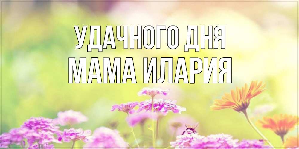 Открытка на каждый день с именем, Мама-Илария Удачного дня красивая открытка с летней темой Прикольная открытка с пожеланием онлайн скачать бесплатно 