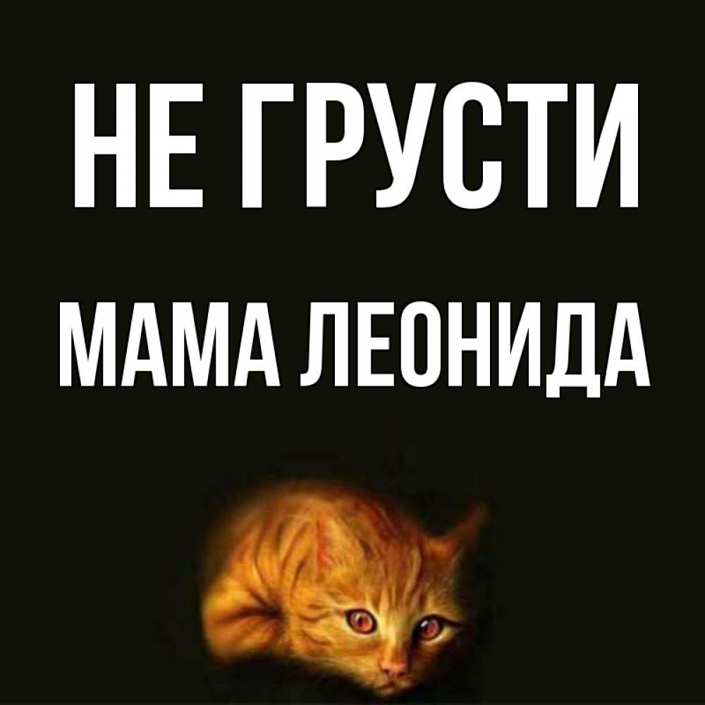 Открытка на каждый день с именем, Мама-Леонида Не грусти лежащий кот в темноте Прикольная открытка с пожеланием онлайн скачать бесплатно 