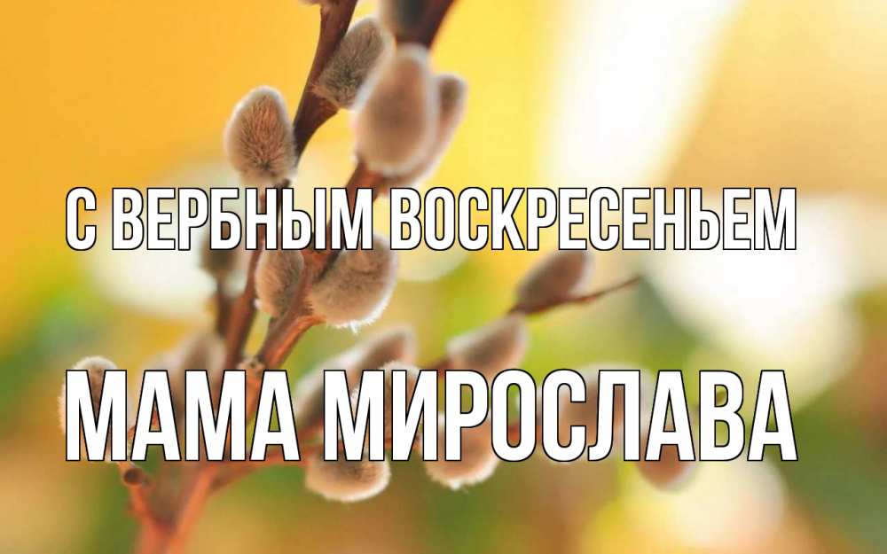 Открытка на каждый день с именем, Мама-Мирослава С вербным воскресеньем верба Прикольная открытка с пожеланием онлайн скачать бесплатно 