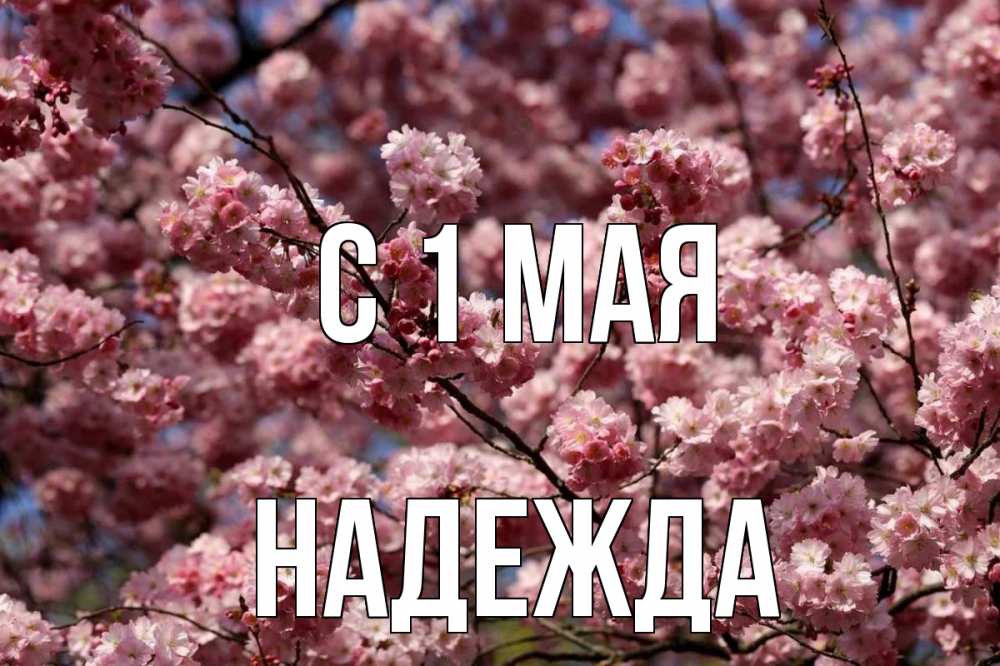 Открытка на каждый день с именем, Надежда С 1 мая С 1 мая Прикольная открытка с пожеланием онлайн скачать бесплатно 
