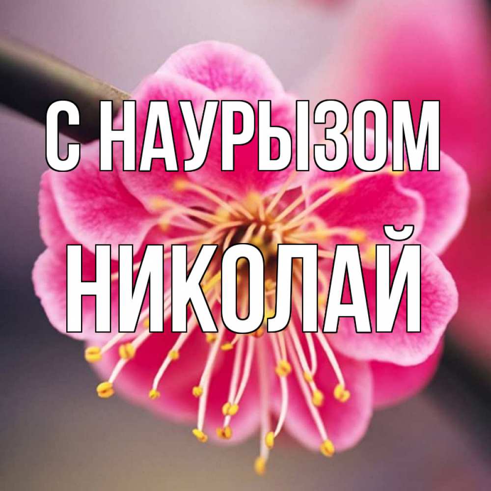 Открытка на каждый день с именем, Николай С наурызом цветы Прикольная открытка с пожеланием онлайн скачать бесплатно 