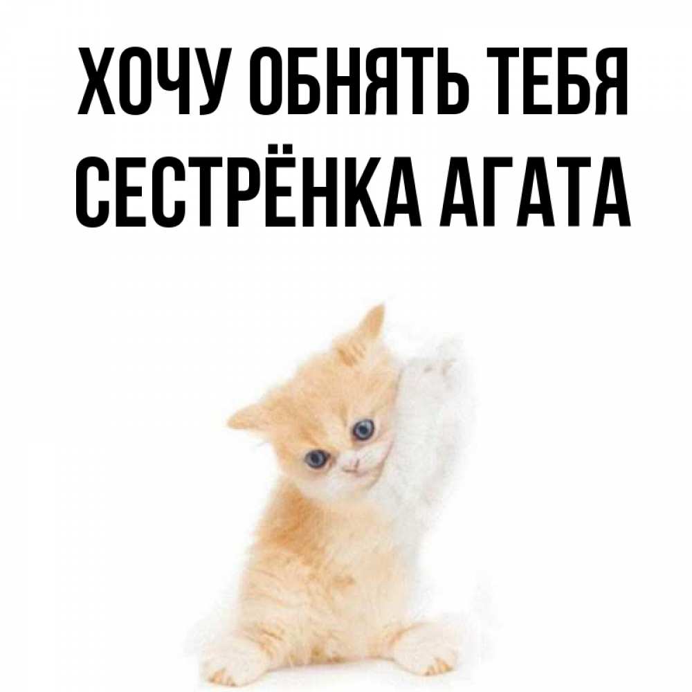 Открытка на каждый день с именем, Сестрёнка-Агата Хочу обнять тебя я хочу очень скорее обнимаешек Прикольная открытка с пожеланием онлайн скачать бесплатно 