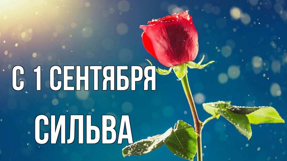 Открытка на каждый день с именем, Сильва С 1 сентября с днем знаний Прикольная открытка с пожеланием онлайн скачать бесплатно 