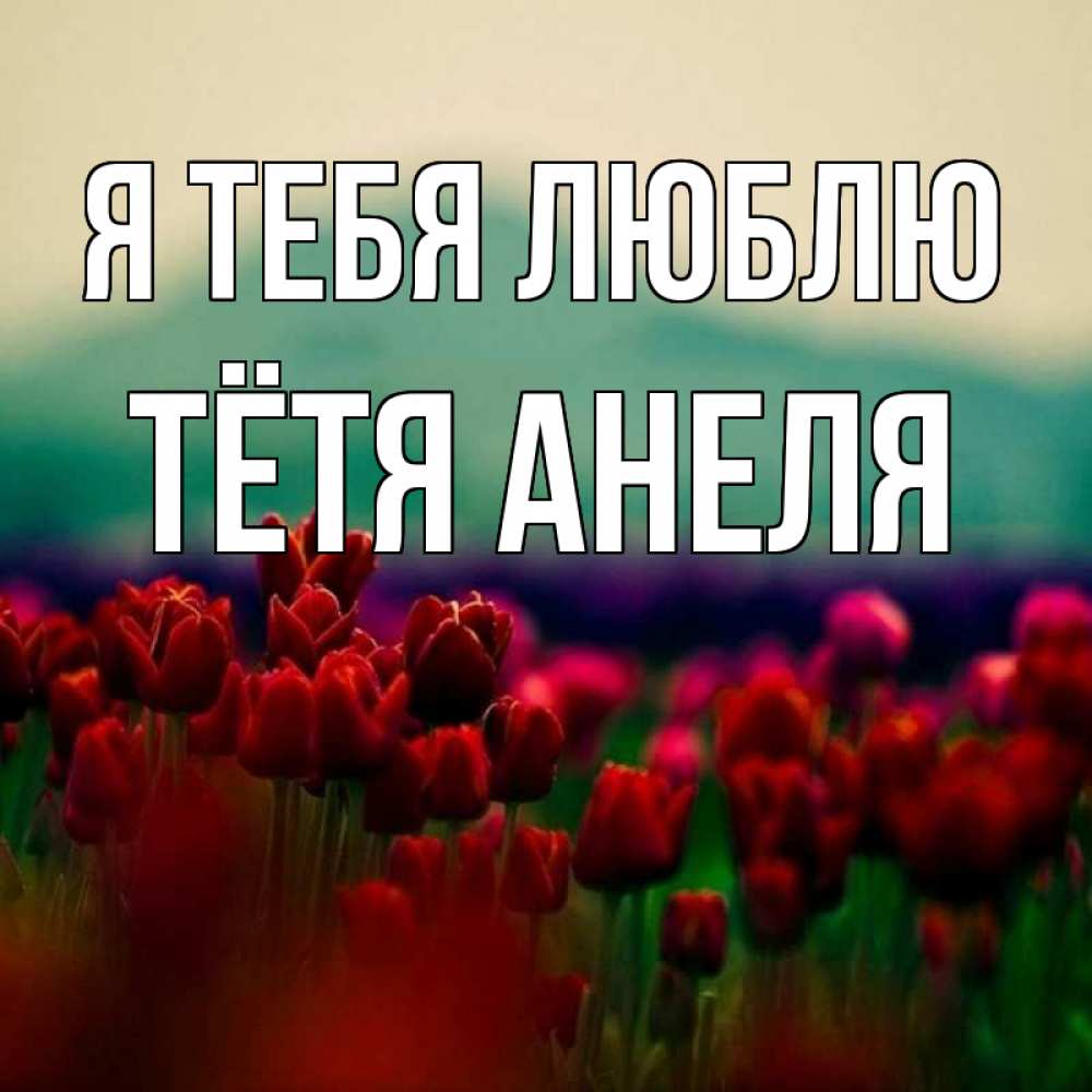 Открытка на каждый день с именем, Тётя-Анеля Я тебя люблю тюльпаны 4 Прикольная открытка с пожеланием онлайн скачать бесплатно 