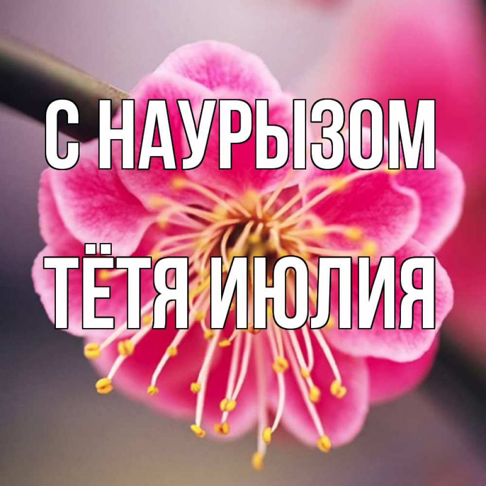 Открытка на каждый день с именем, Тётя-Июлия С наурызом цветы Прикольная открытка с пожеланием онлайн скачать бесплатно 