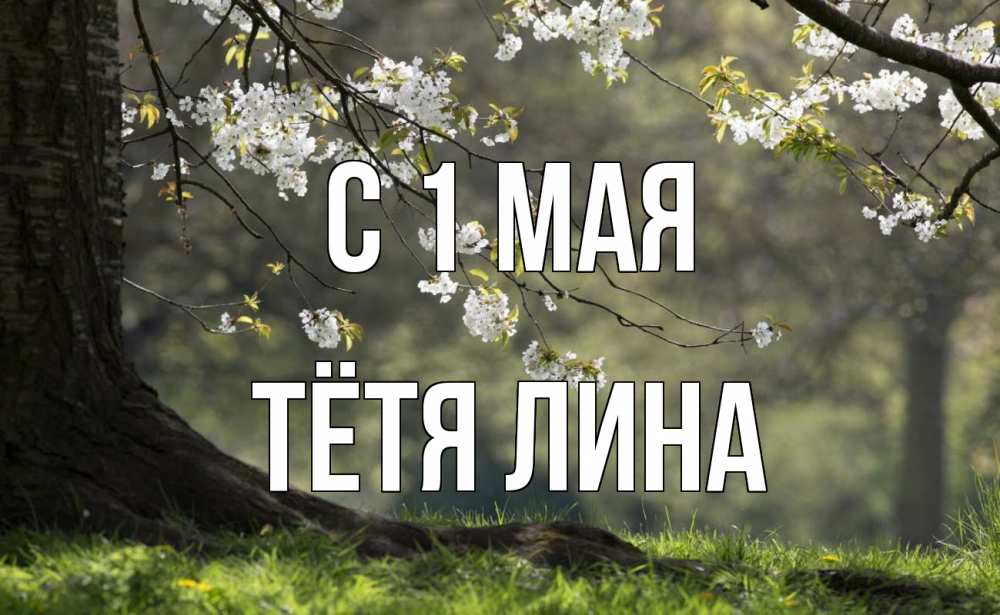 Открытка на каждый день с именем, Тётя-Лина С 1 мая С 1 мая Прикольная открытка с пожеланием онлайн скачать бесплатно 