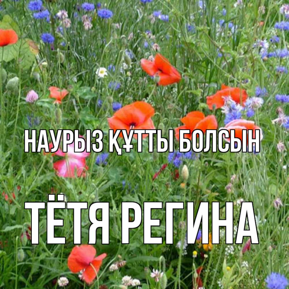 Открытка на каждый день с именем, Тётя-Регина Наурыз құтты болсын наурыз  4 Прикольная открытка с пожеланием онлайн скачать бесплатно 