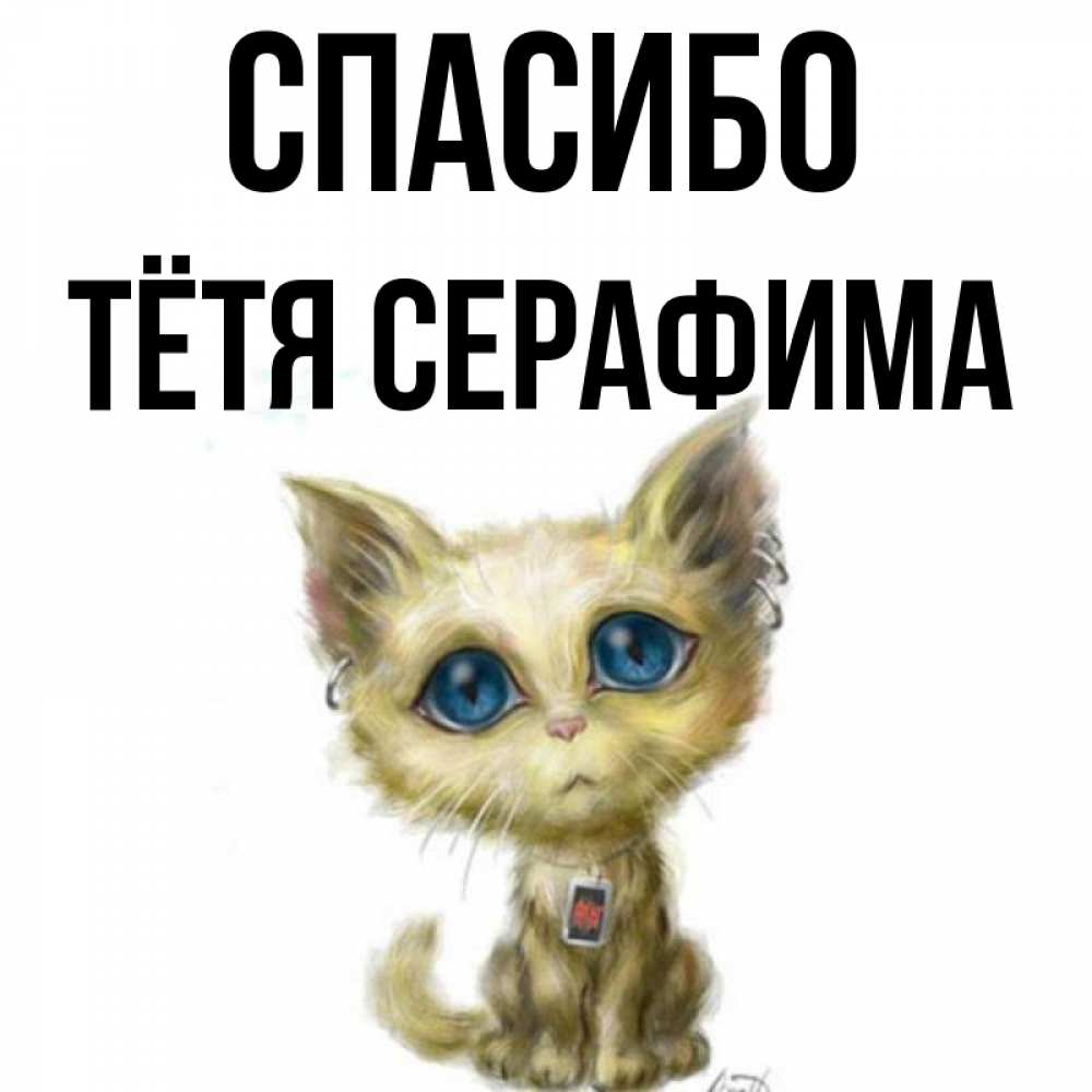 Открытка на каждый день с именем, Тётя-Серафима Спасибо рисованный кот благодарит вас Прикольная открытка с пожеланием онлайн скачать бесплатно 