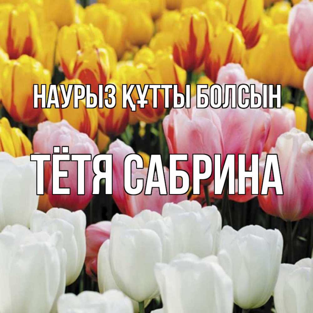 Открытка на каждый день с именем, Тётя-Сабрина Наурыз құтты болсын разноцветные цветы Прикольная открытка с пожеланием онлайн скачать бесплатно 